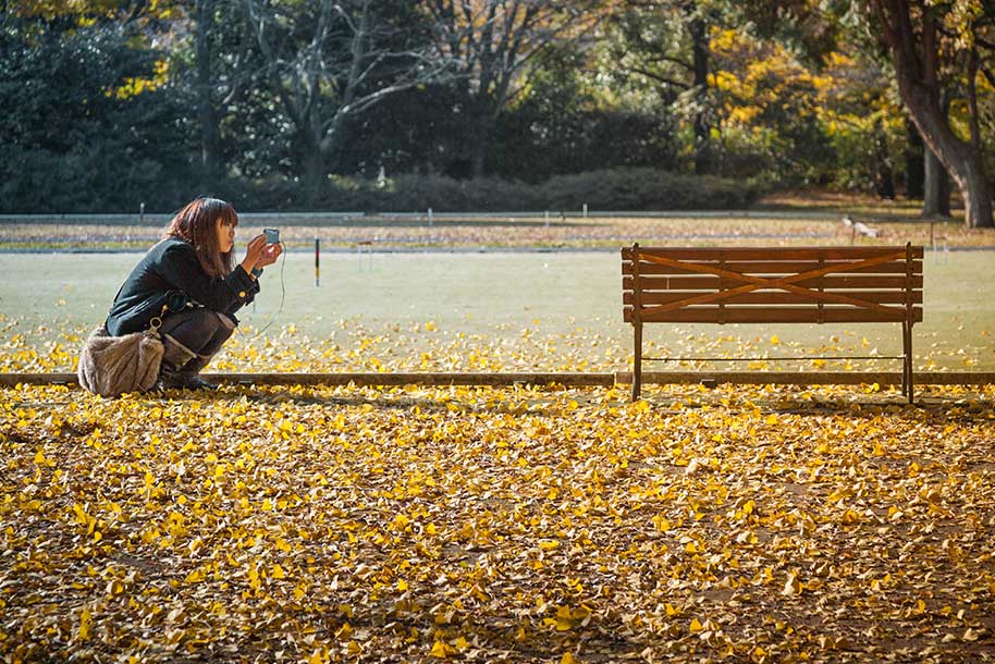 La photo du mois de Décembre • banc public