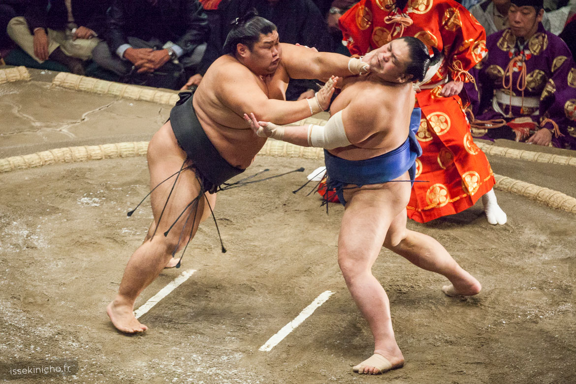 Nihon sumo Kyokai – 日本相撲協会