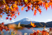 Mont Fuji et lac Kawaguchi au milieu des érables rouges en automne