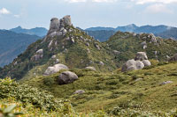 Montagne sur l'île de yakushima au sud du Japon